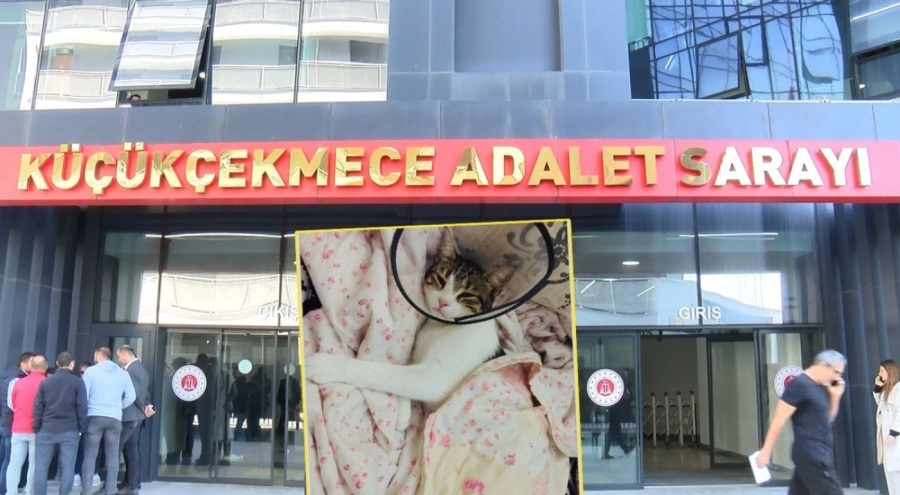 'Şirine'yi tekmeleyerek 4. kattan atan sanığın yargılanması başladı