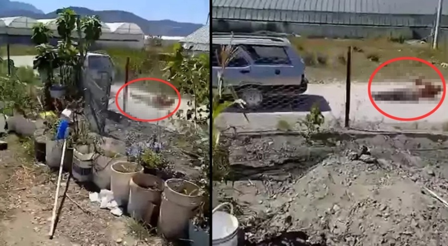 Kan donduran görüntüler: Komşusunu iple arabaya bağlayıp sürükledi