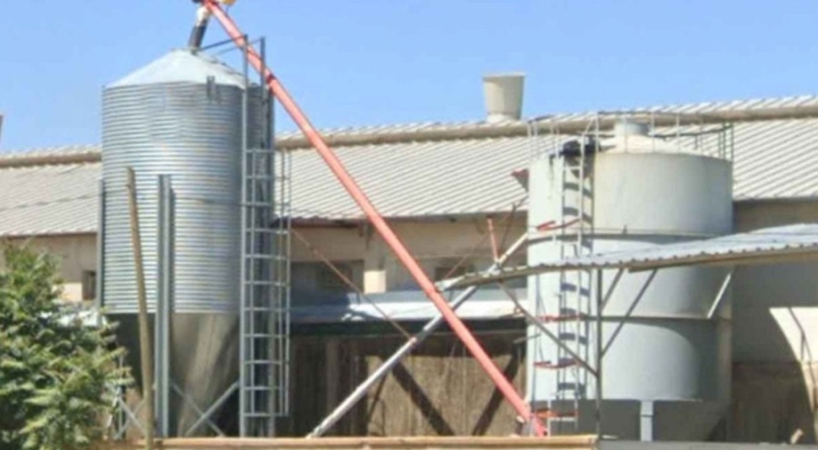 Yem hazırlama ünitesine düşen işçi, yaşamını yitirdi