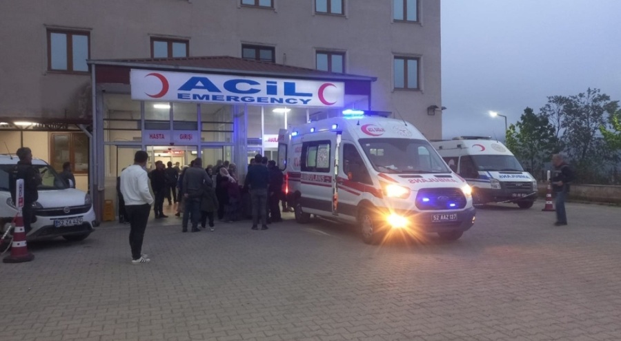 Ordu'da telefon direği çocuğa zarar verdi