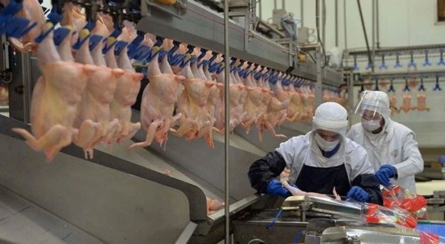 Beyaz ete ihracat yasağı fiyatı düşürmedi! Artış bile bekleniyor