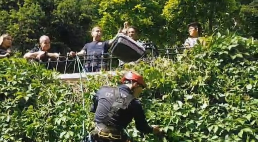 Bursa'da mahsur kalan kediyi itfaiye kurtardı