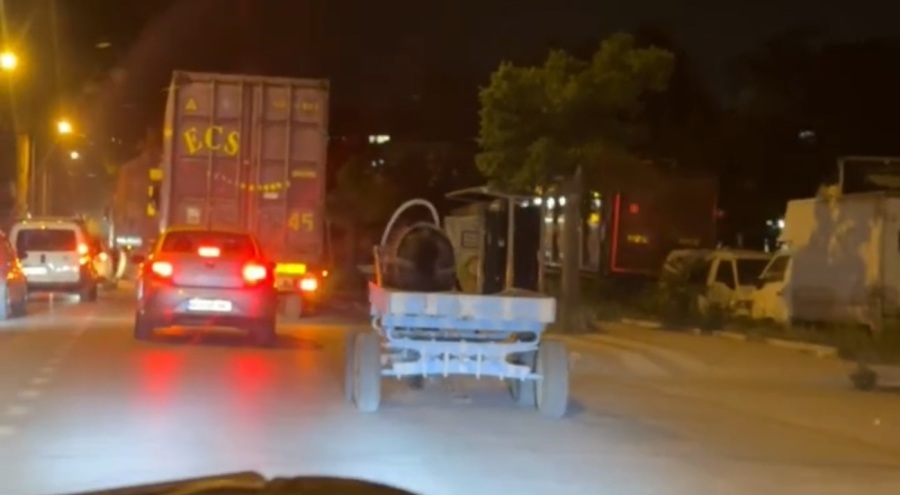 Bursa'da başıboş at arabası şehir turu attı!