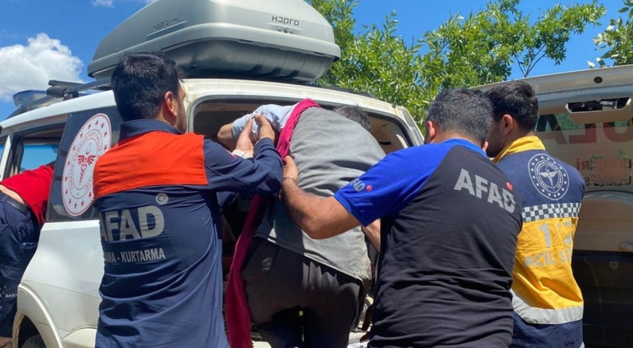 Hakkari'de Ayı saldırısına uğrayan vatandaş yaralandı