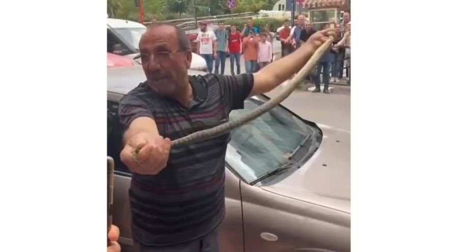 Arabaya giren yılanı ustaca çıkardı, görenler şaştı kaldı