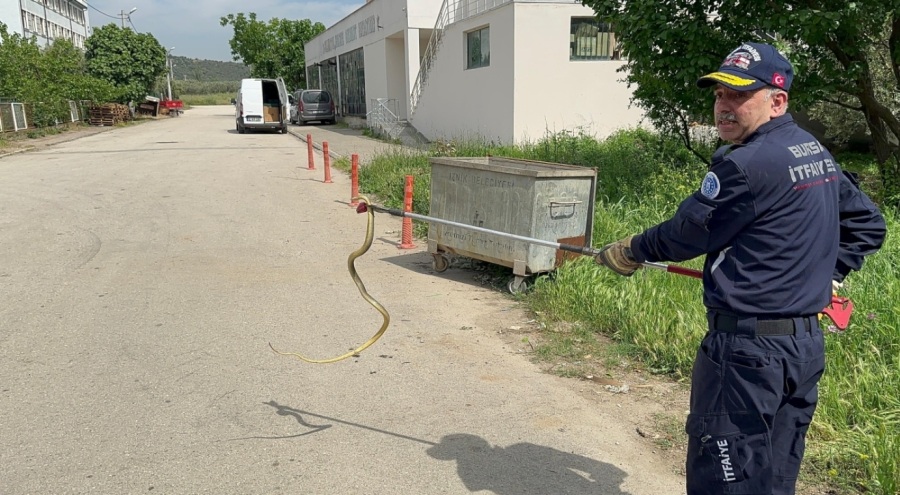 İznik'te polis aracına yılan girdi, itfaiye kurtardı