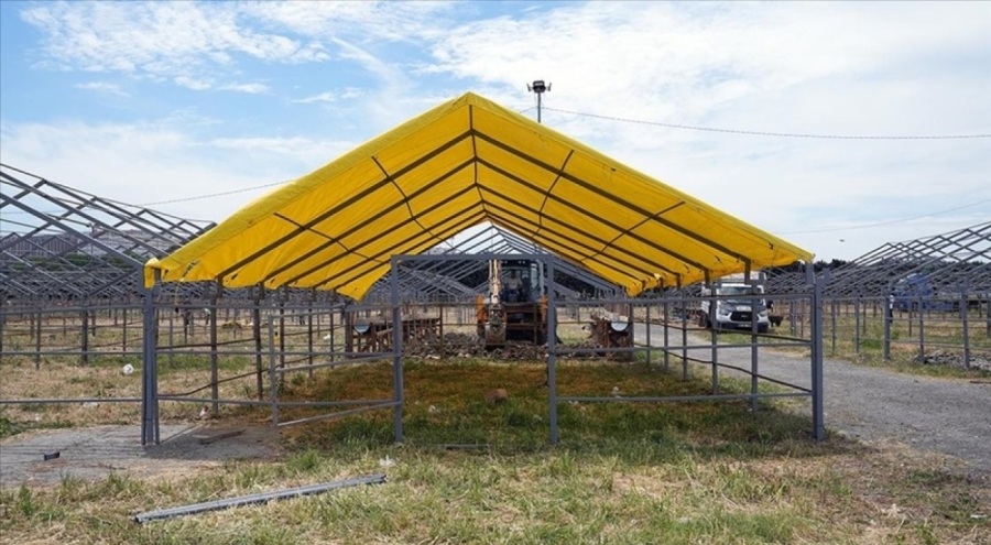 İstanbul'da Kurban bayramı hazırlığı başladı