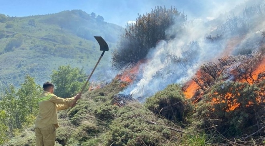 Gümüşhane'de korkutan yangın! 30 hektarlık alan zarar gördü