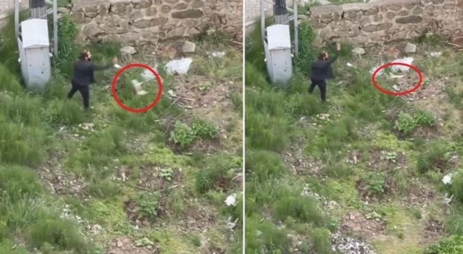 Tekmeleyip ayağıyla ezerek öldürdüğü yavru kediyi otların içine fırlattı!