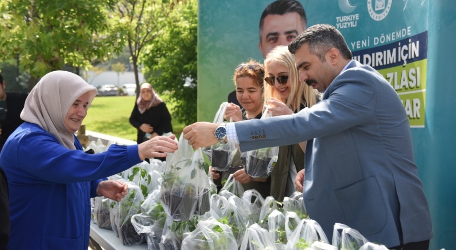 Bursa Yıldırım Belediyesi'nden 50 bin fide dağıttı
