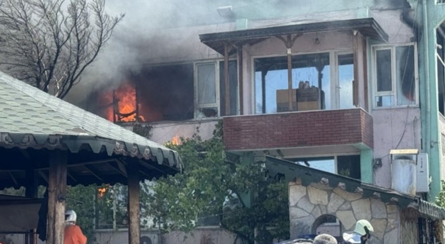 Zeytinyağı fabrikasında yangın