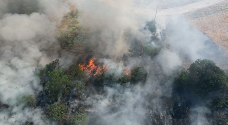 İncir bahçesinde yangın!