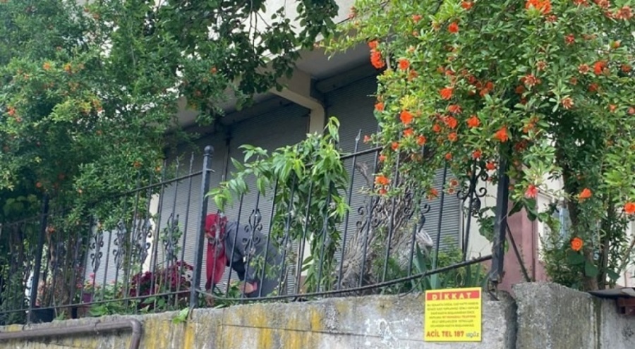 Dut toplarken düşüp demir korkuluklara saplandı