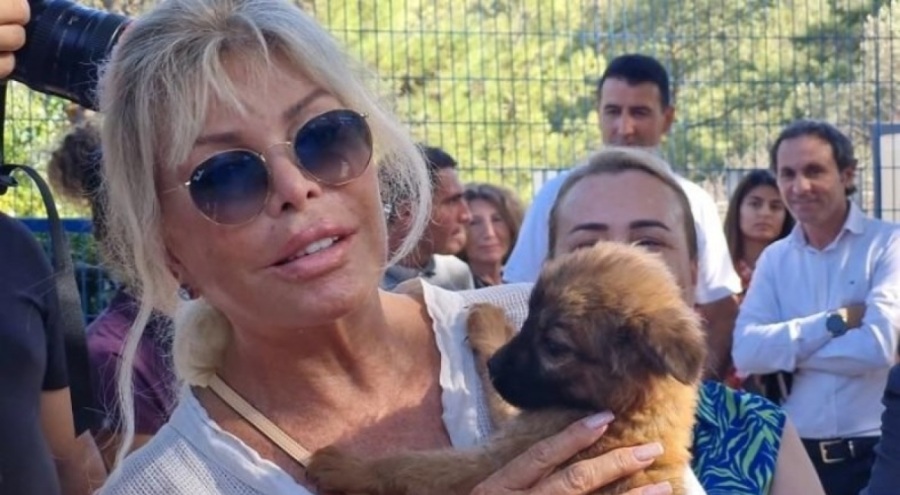 Ajda Pekkan'dan sokak hayvanlarını 'uyutma' gündemine tepki: 'Bizi de uyutsunlar o zaman'