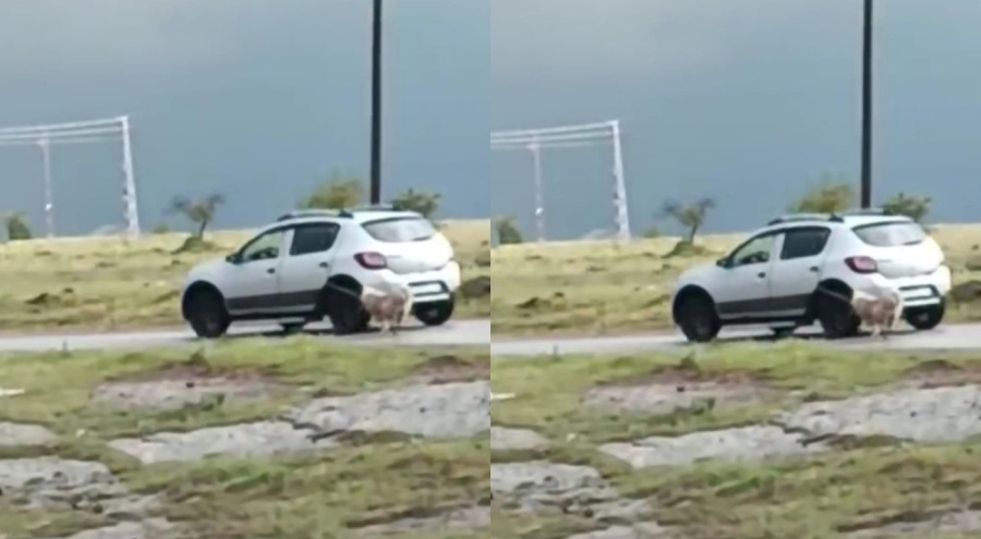 Köpeği otomobile iple bağlayıp sürükledi