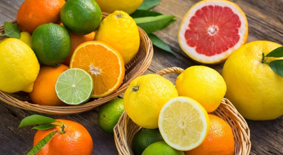 Türkiye'nin narenciye ihracatı yükseldi