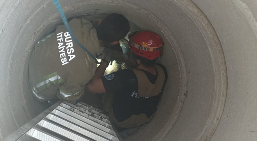 Bursa'da itfaiye ekipleri rögara düşen küçükbaş hayvan için seferber oldu