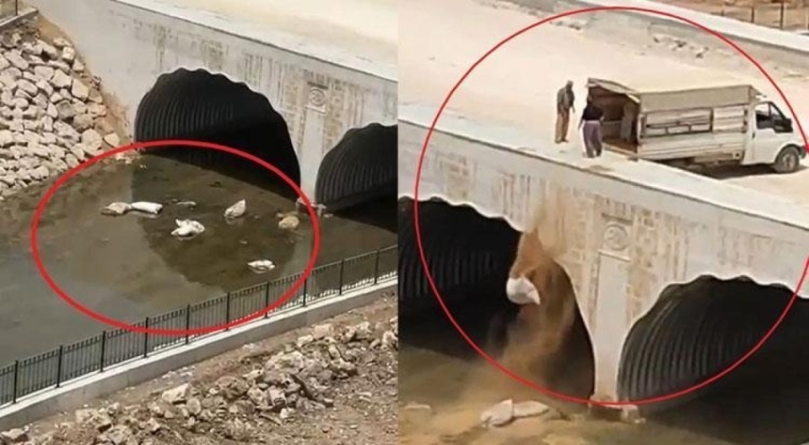 Pes dedirten görüntü: Dereye hayvan pisliği bıraktılar