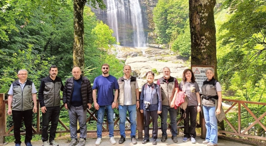 Mustafakemalpaşa ormanları 'Terapi ormanı' için mercek altında