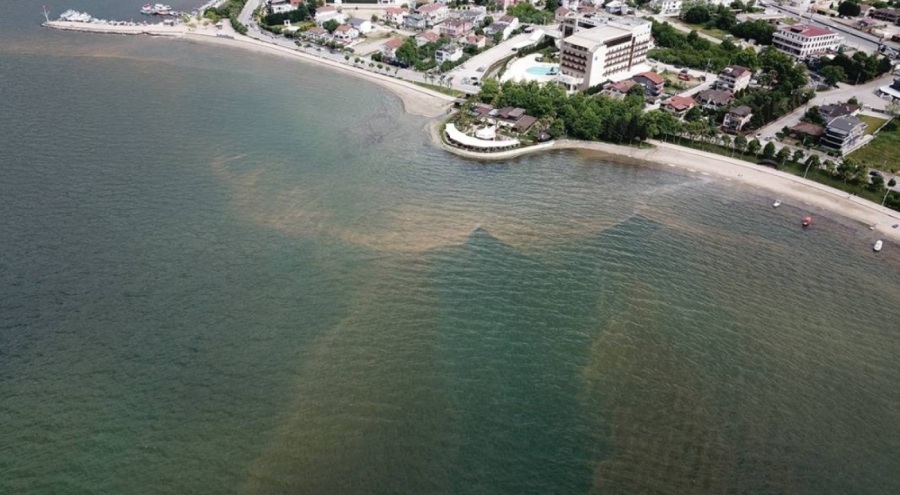 İzmit Körfezi'nde korkutan görüntü!
