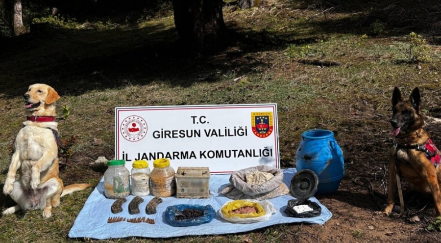 Giresun'da terör örgütünün kullandığı sığınak imha edildi