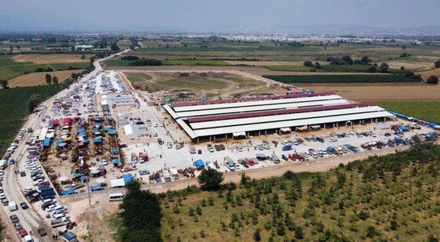 İnegöl'e ilk kurbanlıklar geldi!