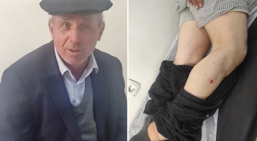 Çiftçiyi ayının elinden inekleri kurtardı