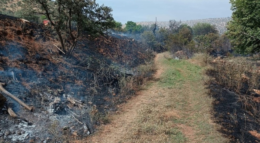 Bahçede çıkan yangın ormana sıçradı