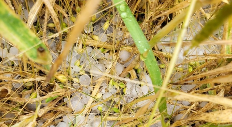 Konya'yı dolu vurdu! Etkisini sürdürecek