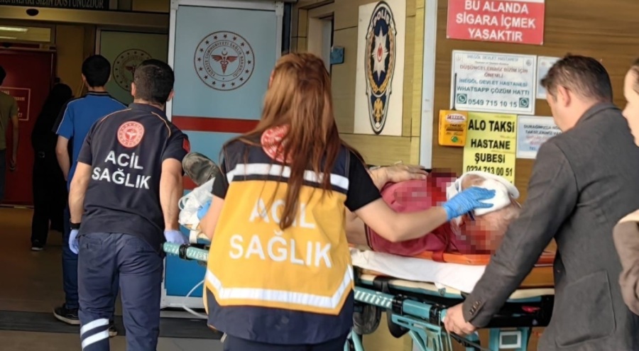Bursa'da kiraz ağacından düşen 67 yaşındaki adam ağır yaralandı