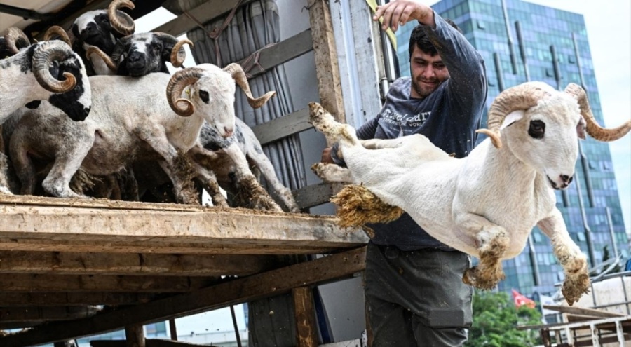 EGM'den Kurban Bayramı öncesi hırsızlığa ve dolandırıcılığa dikkat