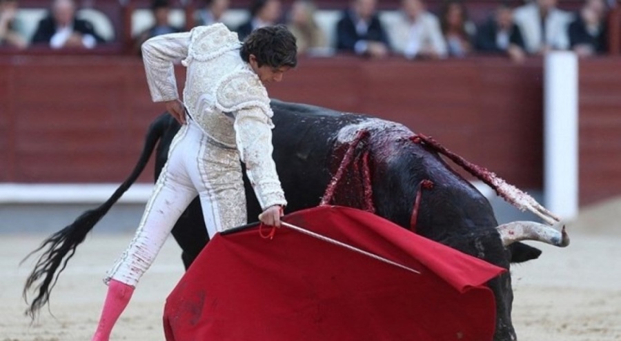 Kolombiya'da boğa güreşleri yasaklanıyor