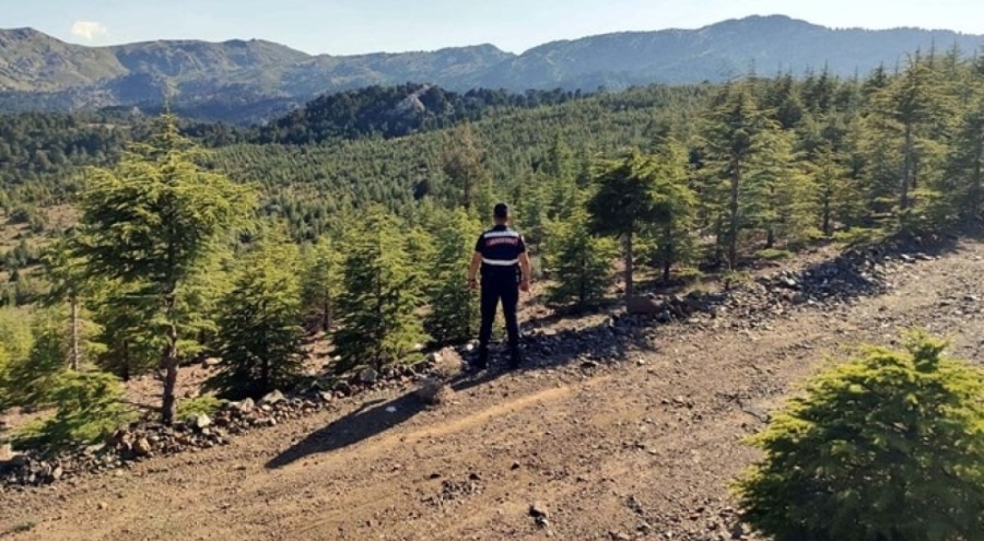 Muğla'da ormanlara giriş yasaklandı!