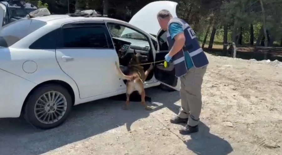Saklanan uyuşturucu narkotik köpeğinden kaçamadı