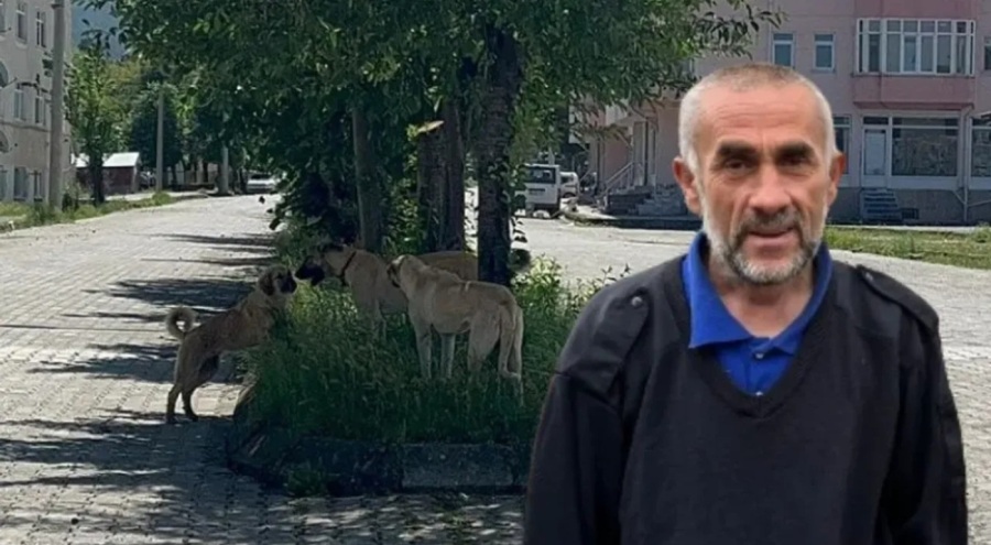 Sokak köpeklerinin saldırdığı adam son anda kurtuldu!