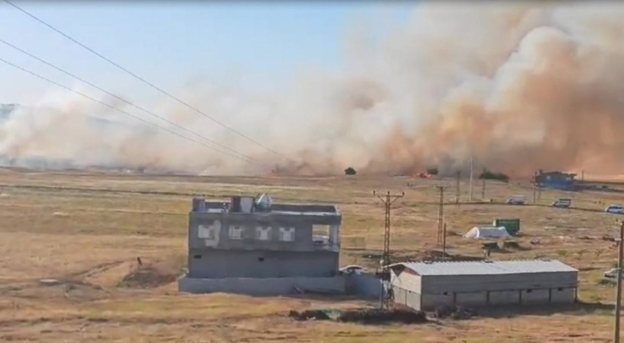 120 dönüm arpa ekili arazi küle döndü