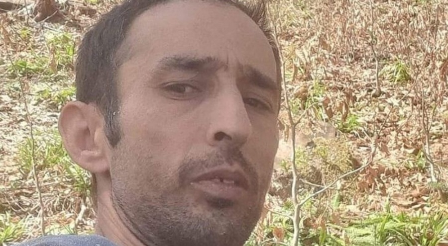 Güce'de feci olay: Orman işçisinin üzerine ağaç düştü!