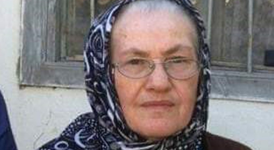 Yılanın ısırdığı kadın hayatını kaybetti