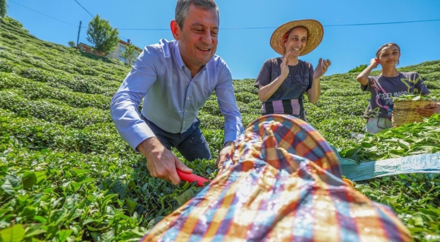 CHP lideri Özgür Özel: Çay üreticisinin derdini çözeceğiz