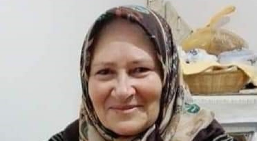 Dut toplarken ağaçtan düşen kadın yaşamını yitirdi