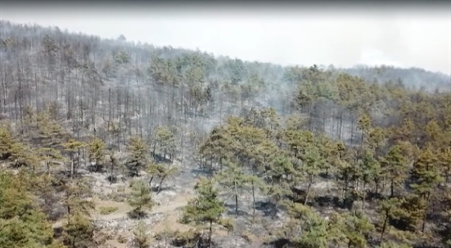 Bursa'daki orman yangını için soruşturma başlatıldı