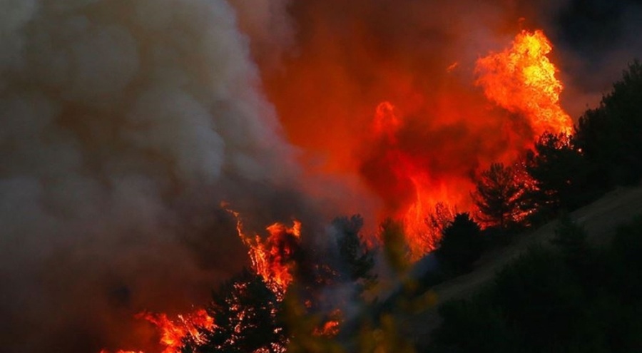 Çanakkale'de tarım alanında yangın