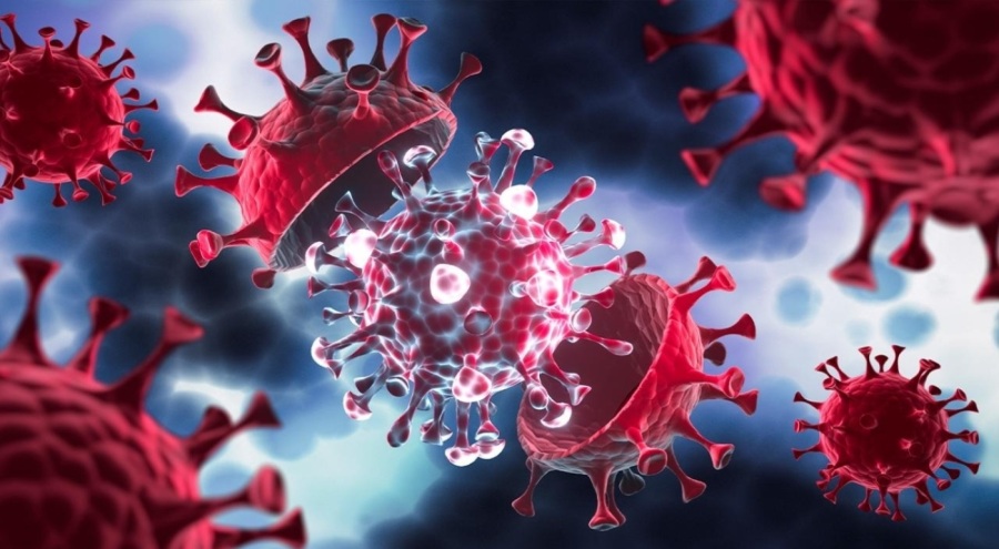 DSÖ, A virüsünden ilk ölümü doğruladı