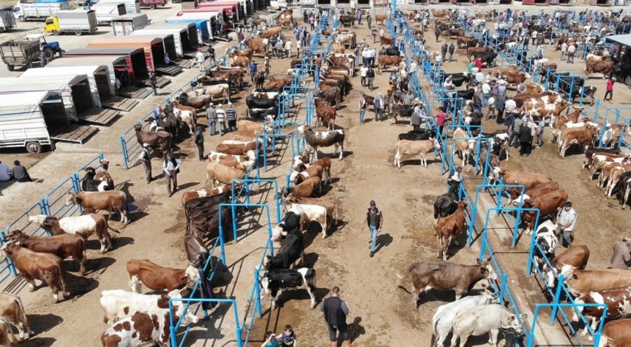 İstanbul'da pazardaki kurban satıcılarına sahte para uyarısı