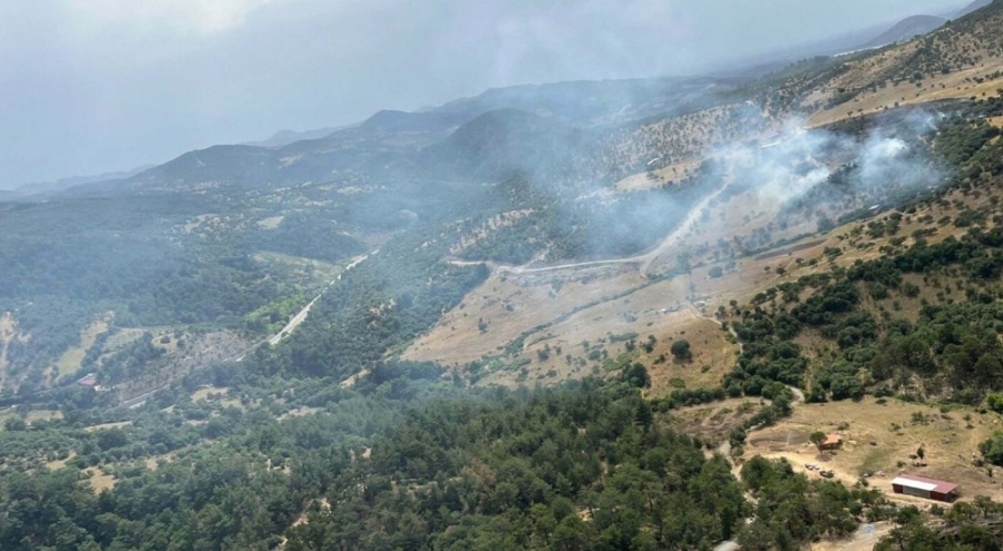 Balıkesir'de orman yangını