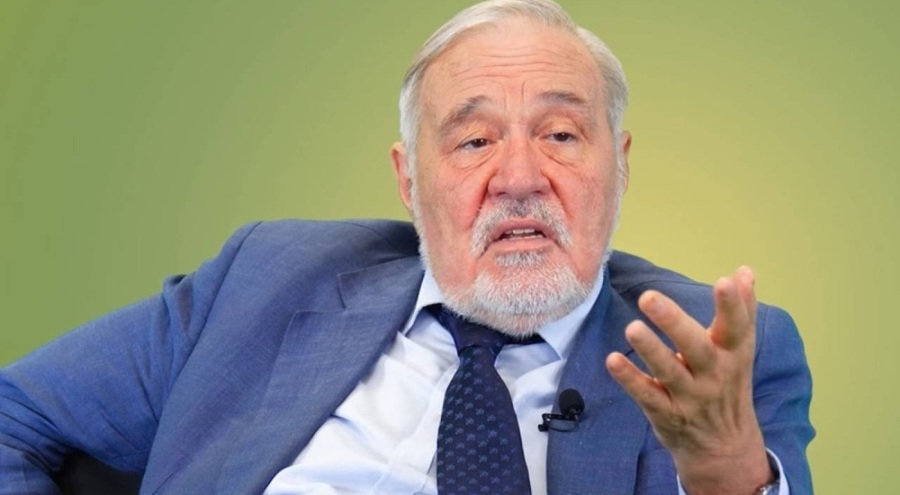 İlber Ortaylı'dan sokak köpekleri açıklaması