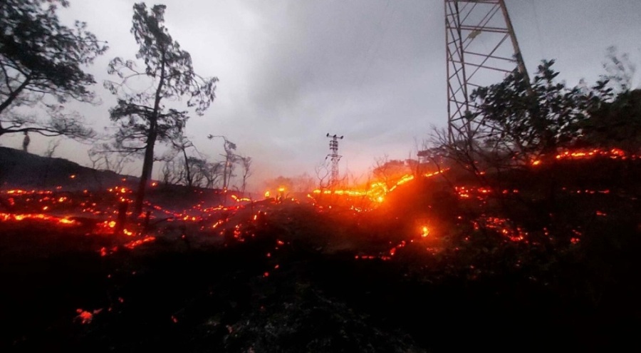 Marmaris'te orman yangını