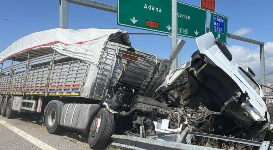 Büyükbaş hayvan yüklü tır devrildi! 2 kişi yaralandı, 7 hayvan telef oldu