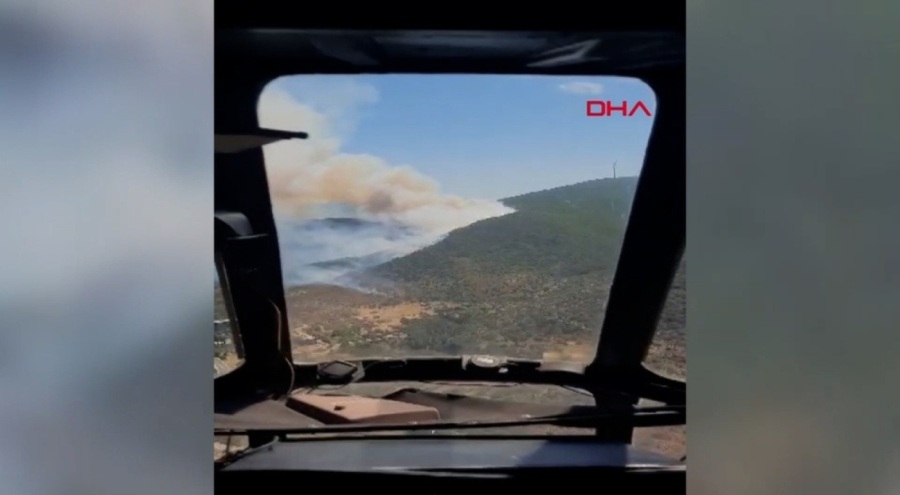 İzmir Urla'da ormanlık alanda yangın çıktı