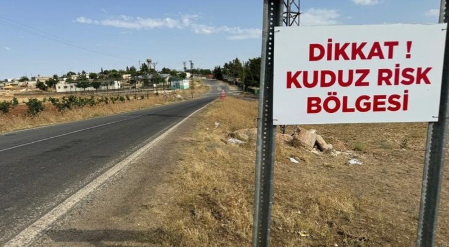 Şanlıurfa'da 'kuduz' alarmı!